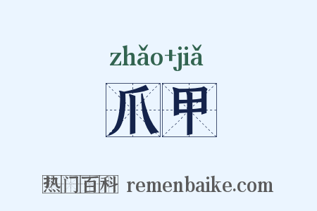 爪甲是什么意思的图片